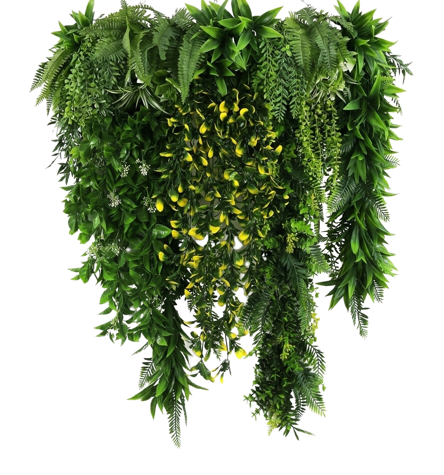 Premium hanging plants