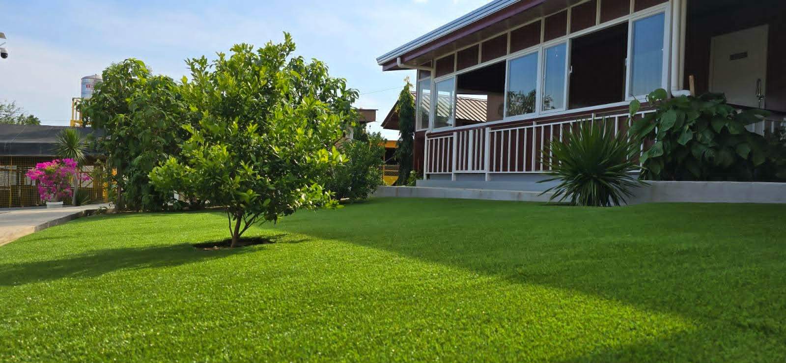 Artificial Turf Grass 13