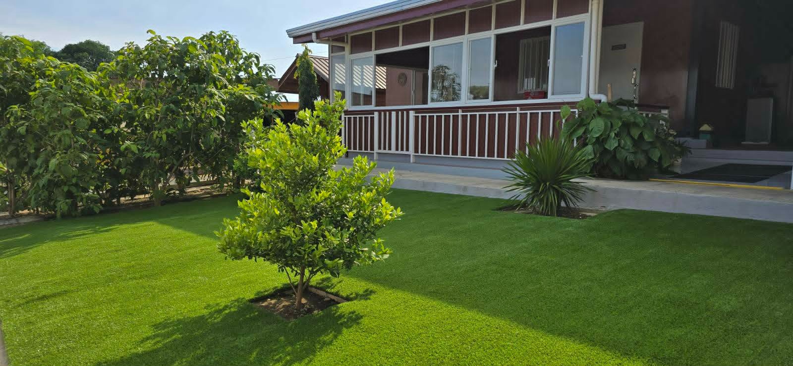 Artificial Turf Grass 14