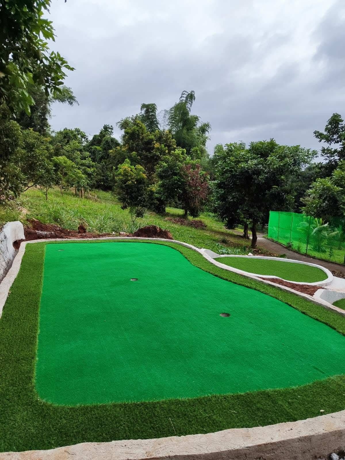 Artificial Turf Grass 18