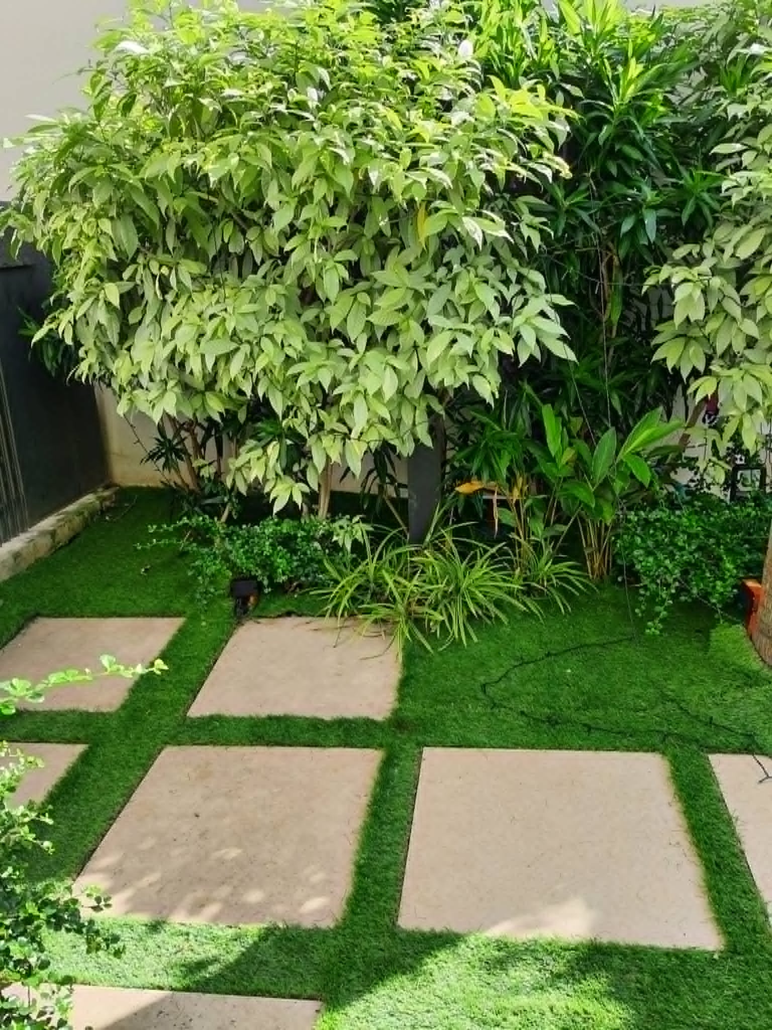 Artificial Turf Grass 21