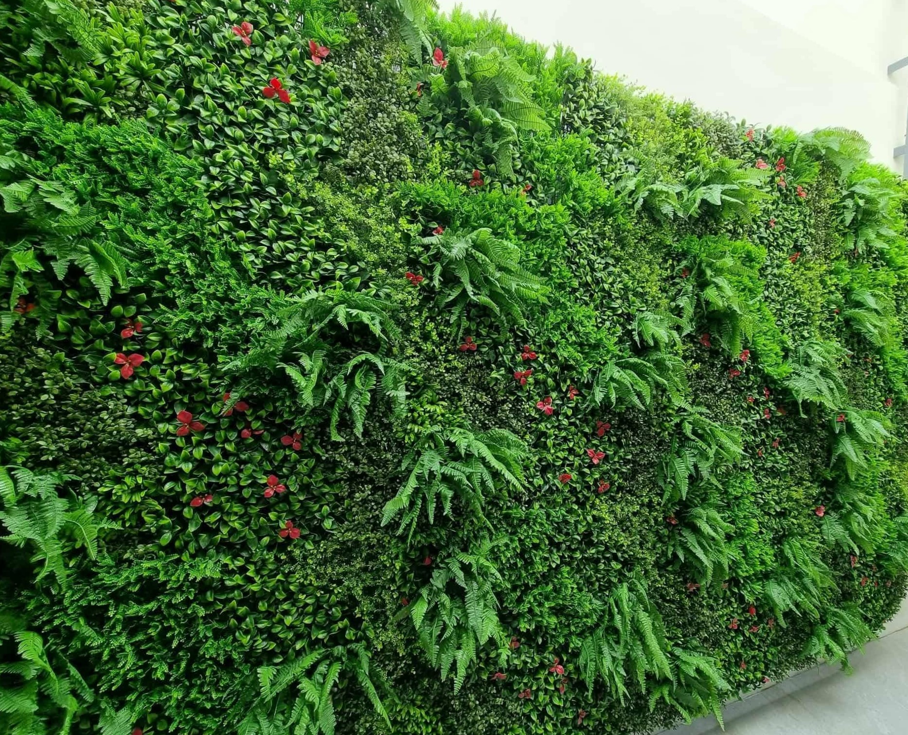 Wall Greens
